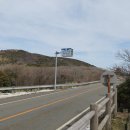 화산양돈 이미지