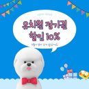 에브리댕 이미지