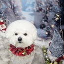 구르미살롱 이미지