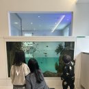 피코 키즈풀빌라 부산 이미지