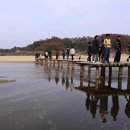 무섬마을 이미지