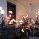 단성약국 이미지