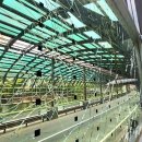 포은대로 이미지