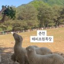 유인목장 이미지
