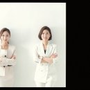세무법인 다림