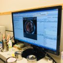 부천준동물병원 이미지