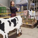 신광목장 이미지