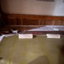 생생생공화국 이미지