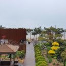 피노앤키오리조트