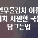 상큼한 여름김치 | 열무물김치 여름 김치 시원한 국물 담그는법
