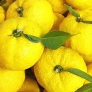 영주해피마트 이미지