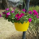 삼백한우뜰 이미지