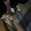 호텔스위스그랜드 이미지