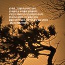 청산리벽계수