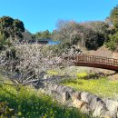 걸매생태공원 이미지