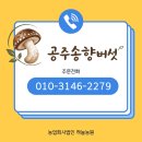 공주송향버섯 다이어트 식단, 칼로리 낮고 식이섬유 풍부해 변비 걱정 끝