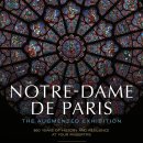 대성당안경 이미지