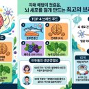 푸드와 | 치매 예방의 첫걸음, 뇌 세포를 젊게 만드는 최고의 브레인 푸드와 생생 후기