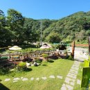 힐스템생활건강 이미지