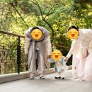 제이드포토그라피 이미지