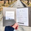 대명슈퍼맨 | 홍천 비발디파크, 스키장 처음 다녀온 후기! 대명슈퍼맨 렌탈샵 가격 및 준비물