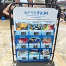 [홍천 오션월드] 오션월드 꿀팁 및 오션패스 후기 (슬라이드 추천 순서)