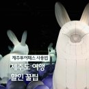 애월스마트테마파크 | 제주투어패스 지도 제주도 여행 준비물 액티비티 체험 노형수퍼마켙 할인 방법