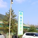 김해애견카페 운동장에 포토존까지 겸비한 노키즈존 &#39;세븐카페&#39;