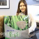 네이처그라스