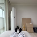 자연＆어울림세탁소 | 신혼혼수 소파 추천 캄포플러스 슬림 4인 카우치소파 실사용 후기