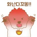 한국꼬똥켄넬 이미지