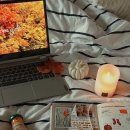 (주)아성다이소 스타필드부천점 | 📍 매일 나는 블로그 글을 몇 개나 쓸 수 있을까?