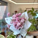 타티아르 이미지