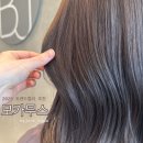 바이주니헤어하우스(순천호수공원5호점) | 순천 미용실 염색 추천 💇‍♀️ 바이주니헤어하우스 호수공원점 바다원장 모카무스 염색 후기✨