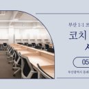 마이스터디코치