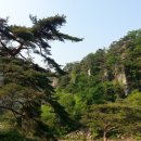 박달재자연휴양림 이미지