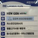 피피독 이미지