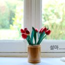 해충제로솔루션