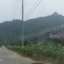 중앙3길 이미지