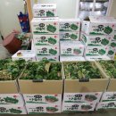 원흥상회 이미지