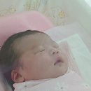 맘스여성병원 이미지