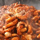 송송낙지 이미지