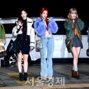 피어나 이미지