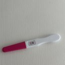 다움산부인과 | [임신일기 4~8주] 결혼 1년 6개월차, 우리에게 새로운 가족이 찾아오다! 만나서 반가워 콩이야💚