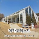 길상로 | 강화도 애견동반카페 추천 메타세콰이어 숲이 있는 힐링 데이트코스 메타포레스트