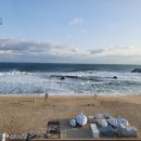 중앙펜션 | 안목해변 바로 앞 오션뷰 스파 펜션 안목26 401호 내돈내산 후기(+대게특별시,중앙닭강정,강릉오징어순대)