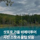 가을 | 삿포로 비에이투어 후기 가을 일정과 사진 스팟 꿀팁 총정리