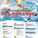 2018 전국시니어 생활체육 수영,아쿠아로빅대회 이미지
