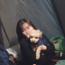 충남 태안 글램핑 호두랑 도담오토캠핑장 첫 차박후기