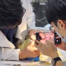 24시루시드동물메디컬센터 이미지